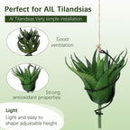 6 Pcs Hanging Air Plant Holder Air Plant Hanger Set Adjustable Rust-Resistant Iron Rings with Jute Ropes, Soilless Plants Stand Tillandsia Succulent Display Container for Home Office Decor
