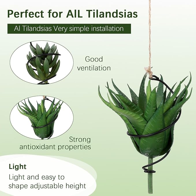 6 Pcs Hanging Air Plant Holder Air Plant Hanger Set Adjustable Rust-Resistant Iron Rings with Jute Ropes, Soilless Plants Stand Tillandsia Succulent Display Container for Home Office Decor