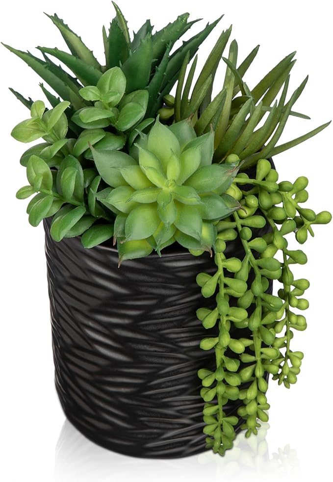 Hollyone Artificial Succulents in Pots Faux Succulents Plants Fake Succulent Arrangement Potted Plants with Black Ceramic Vase for Office Desk Bathroom Shelf Living Room Indoor Home Decor Large