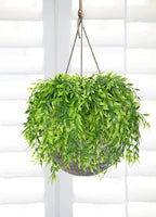 PASYOU Artificial Willow, Plastic Plants Greenery Leaves Fake Hanging Vine Faux Ivy for Home Indoor Outdoor Garden Door Wall DIY Basket Planter Filler Wedding Party Decoration UV Resistant - 4 Pack