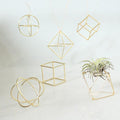 ZOOELAY Mini Air Plants Holders Metal Geometric Hanging Airplants Plant Hanger Airfens Display Stand Planter Hanging Airplants Frame Decor 6PCS