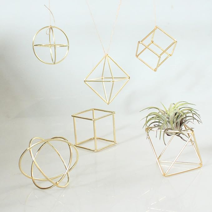ZOOELAY Mini Air Plants Holders Metal Geometric Hanging Airplants Plant Hanger Airfens Display Stand Planter Hanging Airplants Frame Decor 6PCS