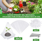 40 Pieces Garden Cloches for Plants, Reusable Plastic Plant Seedling Protector with 80 Ground Securing Peg, Transparent Bell Jar Cloches to Protect Plants from Birds, Slugs, sun, Frost, Freeze Weather