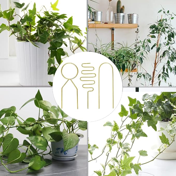Small Metal Trellis for Potted Plants, 3 Pcs Gold Trellis for Climbing Plants Indoor, Plant Support Stake Mini House Plant Trellis for Hoya, Flower, Pothos, Monstera