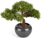 9.5 Inch Artificial Bonsai Tree with Ceramic Pot - Decorative Fake Plant for Home Office Living Room Window Sill, Fake Plants for Year-Round Decoration（Gray）