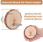 Magnetic Air Plant Holder, Natural Wood Slices Refrigerator Magnet Live Air Plant Holders, Modern Farmhouse Wall Decor for Living Room Bedroom Kitchen Office Home Garden (6 Pack)