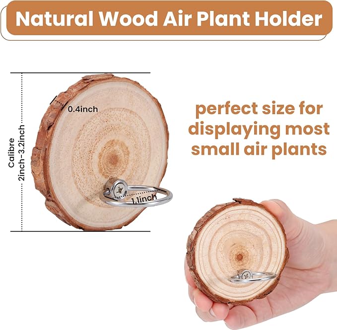 Magnetic Air Plant Holder, Natural Wood Slices Refrigerator Magnet Live Air Plant Holders, Modern Farmhouse Wall Decor for Living Room Bedroom Kitchen Office Home Garden (3 Pack)