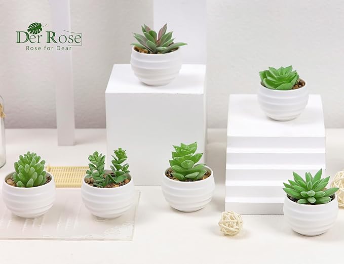 Der Rose 9 Pack Fake Plants Small Realistic Succulents Plants Artificial for Home Room Decor Indoor