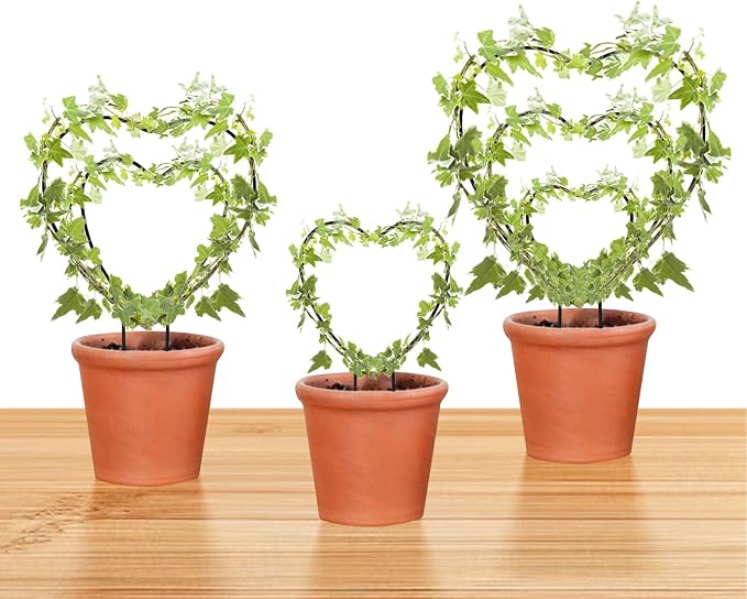 Hoya Trellis 3 Size Indoor Plants Flower Support Stakes Round or Heart Metal Trellis Set Garden Tool Accessories for Small Potted Vine Climbing Houseplants (BlackH)