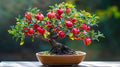 30 Red Pomegranate Bonsai Tree Seeds for Planting