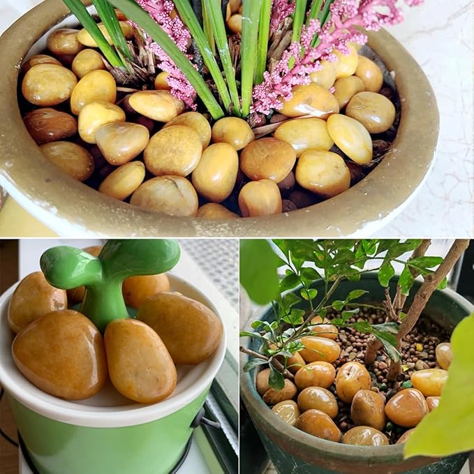 YISZM Rocks for Plant 2lbs, Yellow River Rocks 1-2 Inch Natural Pebbles for Indoor Plants, High Polished Decorative Stones Vase Filler Fish Tank Aquariums Landscaping Garden