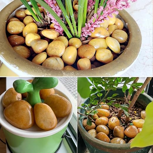 YISZM 10lbs Yellow River Rocks, 2-3 Inch Natural Pebbles for Indoor Plants, High Polished Decorative Stones Vase Filler Fish Tank Aquariums Landscaping Garden