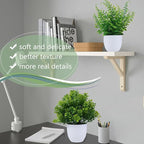 GREENTIME 2 Pack Small Fake Potted Plants for Home Decor Faux Eucalyptus Plant in White Pot Artificial Mini Fern Greenery for Bathroom Shelf Indoor Office Desk Living Room Kitchen Decorations