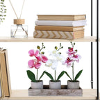 Winlyn Set of 3 Small Artificial Orchid Potted Plants Arrangement with Rustic Wood Planter Box Real Touch Faux Phalaenopsis Moth Orchid Flowers in Pots for Home Office Desk Shelf Table Centerpiece