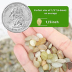 2lbs Natural Gravel Pebbles for Succulents and Cacti, 1/5 Inch Decorative River Stones – Perfect for Vases, Aquariums, Terrariums, and Outdoor Gardening, Mixed Colors (Jade, 2 Pounds)