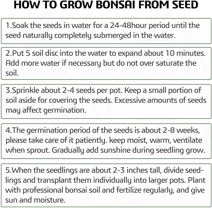 Indoor Bonsai Starter Kit - 5 Seeds Growing Complete Set with Gardening Tools for Beginners, Home DIY Mini Garden Gift for Adults