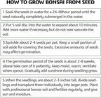 Indoor Bonsai Starter Kit - 5 Seeds Growing Complete Set with Gardening Tools for Beginners, Home DIY Mini Garden Gift for Adults