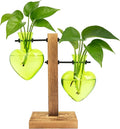 XXXFLOWER Plant Terrarium Propagation Station, Gifts for Mom Daughter Wife Plant Lover, Hydroponic Planter Bulb for Home Office Garden Decoration - 2 Green Love Bulb Vase with Wooden Stand