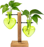 XXXFLOWER Plant Terrarium Propagation Station, Gifts for Mom Daughter Wife Plant Lover, Hydroponic Planter Bulb for Home Office Garden Decoration - 2 Green Love Bulb Vase with Wooden Stand