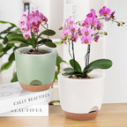 Self Watering Orchid Pots for Indoor Plants,5.8 Inch Macetas para Orqudeas,Flower Pots for Indoor Plants with Holes(White)