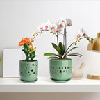 Ceramic Orchid Pot, 5+6 Inch Orchid Pots with Holes, Promoting Air Circulation and Drainage, Indoor/Outdoor Flower Pots - Pea Green