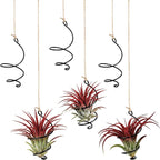 Hicarer 6 Pack Hanging Air Plant Holders with Jute Rope, Black Spiral Soilless Air Plant Hanger Set with Adjustable Rust-Resistant Iron Rings for Tillandsia, Succulent Home Office Decor