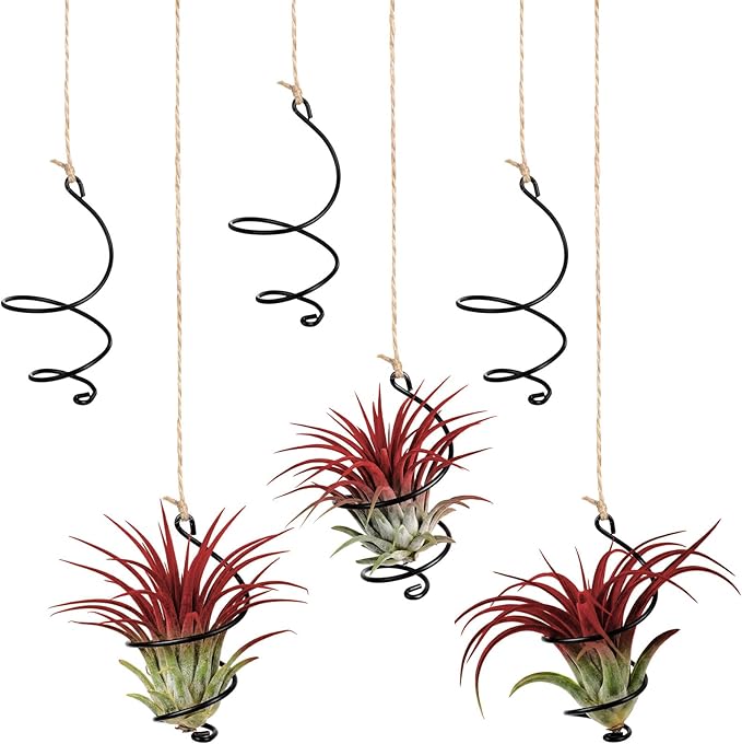 Hicarer 6 Pack Hanging Air Plant Holders with Jute Rope, Black Spiral Soilless Air Plant Hanger Set with Adjustable Rust-Resistant Iron Rings for Tillandsia, Succulent Home Office Decor