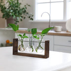YIBOT Wall Hanging Planter Propagation Station Glass Flower Vase for Hydroponics Plants, Plant Terrarium with Wooden Stand, Bathroom, Home Office Living Room Decor Gift