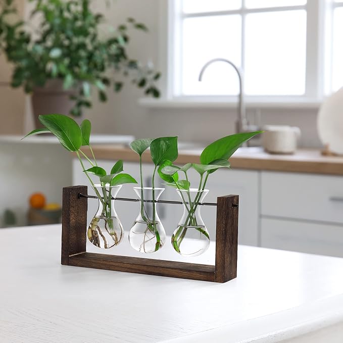 YIBOT Wall Hanging Planter Propagation Station Glass Flower Vase for Hydroponics Plants, Plant Terrarium with Wooden Stand, Bathroom, Home Office Living Room Decor Gift