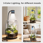 Glass Plant Terrarium with LED Grow Light(H:8.46" D:5.9"), Desktop Terrarium for Venus Fly Trap, Moss & Succulents, Borosilicate Indoor Planter for Home Office Decor