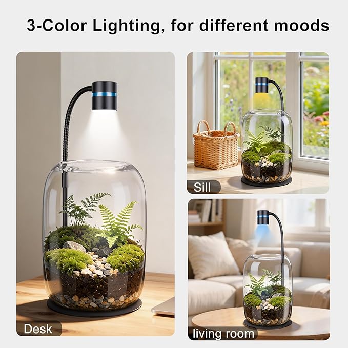 Glass Plant Terrarium with LED Grow Light(H:8.46" D:5.9"), Desktop Terrarium for Venus Fly Trap, Moss & Succulents, Borosilicate Indoor Planter for Home Office Decor