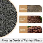 YISZM Black Horticultural Lava Rocks for Plants, 2lb Succulents Cactus Bonsai Soil Volcanic Rocks for Aquarium Outdoor Decorative Stones for Craft Projects, Vase Fillers