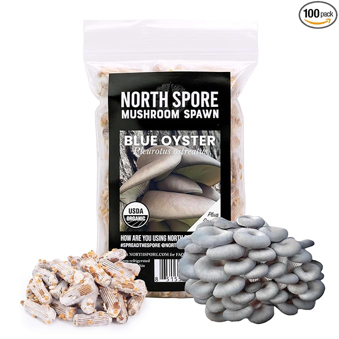 North Spore Organic Blue Oyster (100 ct) Mushroom Plugs for Logs | Premium Quality Mushroom Plug Spawn | Handmade in Maine, USA | Grow Gourmet Mushrooms Outdoors on Logs | Pleurotus ostreatus