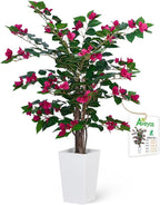 Aveyas 3ft Artificial Bougainvillea Tree with Flowers, 3 Feet Faux Floor Plant Fake Silk Blooming Trees with Pot for Indoor Outdoor Home Decor,House Living Room Office (3 ft Tall Including Raised Pot)