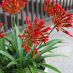 Artificial Flowers for Outdoors 18.9 in Large Fake Plants Outdoor Flower Spring Summer Decoration Outside for Front Porch Garden Window Box