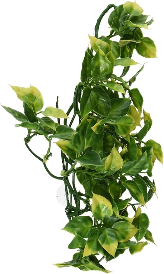 Exo Terra Plastic Terrarium Plant, Medium, Amapallo