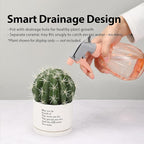 May You Be Proud of The Work You Do Inspirational Gift Ceramic Succulent Plant Pot with Tray Coworker Leaving Motivational Gifts Home Decor Plant Lover 3.5 Inch White (No Plants) (with Ceramic Tray)