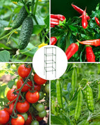 MYMULIKE 6 Pack Tomato Cage, Square Tomato Cages for Garden, Plant Trellis for Pots, Raised Garden Bed, Plant Support Stakes- 20 Clips Included