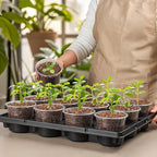 RooTrimmer 12 Cell Nursery Pot Trays 5 Pack with 4 Inch Clear Plant Pots 60 Pack, Thick Sturdy Seeds Starting Germination Shuttle Carrying Trays, Black Small Planter Nursery Propagation 5 Sets