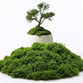 3.5 Oz Green Fake Moss for Crafts, Realistic Artificial Moss for Potted Plants, Faux Moss for Terrariums, DIY Decor, Fairy Garden, Table Centerpieces, Indoor Model Making (Green)