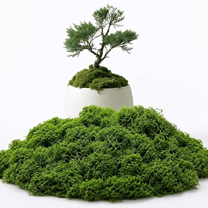 3.5 Oz Green Fake Moss for Crafts, Realistic Artificial Moss for Potted Plants, Faux Moss for Terrariums, DIY Decor, Fairy Garden, Table Centerpieces, Indoor Model Making (Green)