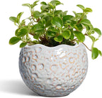 4 Inch Plant Pots - Ceramic Flower Pot for Indoor Outdoor Plants, Small Plant Pot with Drainage Hole and Plug, Round Planter, Unique Plant Pots, Home Decor, Gardening Gifts for Women, Grey