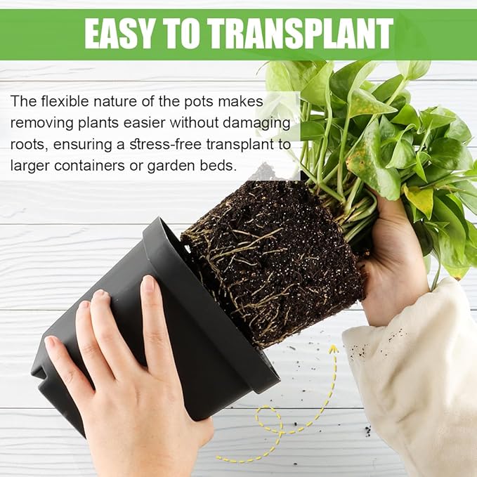 RooTrimmer Square Nursery Pots 5.5 Inch, Plastic Plant Pot with Drainage Holes, 30 Pcs Reusable Seedling Starter Pots Garden Flower Pots Planters for Indoor Plants, Transplanting, Succulents, Cuttings