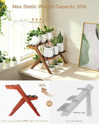 2 Tier Small Wood Plant Stand for Desktop, X-Frame Windowsill Plant Shelf Indoor, Table Top Mini Ladder Flower Pot Holder Display Rack for Succulent, Herbs, Decorations, Kitchen Spices
