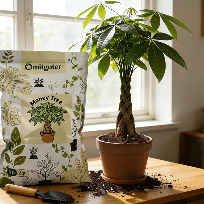 All-Natural Money Tree Soil & Indoor Potting Mix 2QT - Drainage-Enhanced Plant Soil for Healthy Indoor Plants