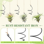 Hicarer 6 Pack Hanging Air Plant Holders with Jute Rope, Black Spiral Soilless Air Plant Hanger Set with Adjustable Rust-Resistant Iron Rings for Tillandsia, Succulent Home Office Decor