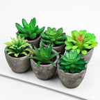 Succulents Plants Artificial Set of 6 Small Realistic Fake Succulent Plant in Pots Realistic Faux Greenery Plants Potted for Home Office Desk Indoor Bedroom Living Room Decoration