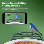 HARYMOR Bird Feeder with Camera with AI Identify Birds Species Solar Powered, Smart Bird House with Cam, 2K HD Video Live Stream, Instant Arrival Alerts - Green