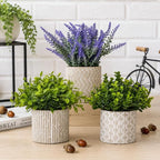 Set of 3 Artificial Potted Plants, Faux Eucalyptus Lavender and Tea Tree Greenery in Cement Pots, Small Fake Plants for Shelf Bathroom Office Desk Decor