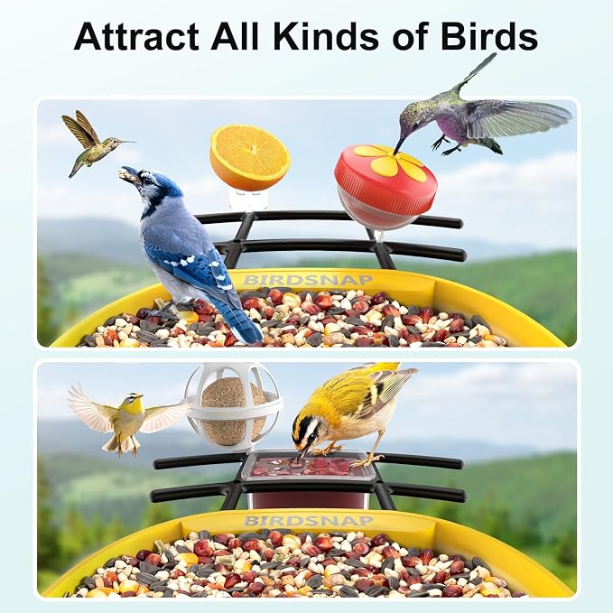 birdsnap® PAV-Bird Feeder with Camera,2K HD with 64GB Card, AI Identify Smart Bird House Cam Solar Panel,Live Stream,Motion Detection,Auto Record Video for Backyard Outdoors,Ideal Gift for Bird Lover